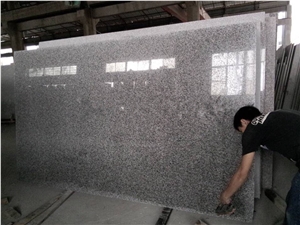 Padang New Rosa Sliver White G623 Slabs