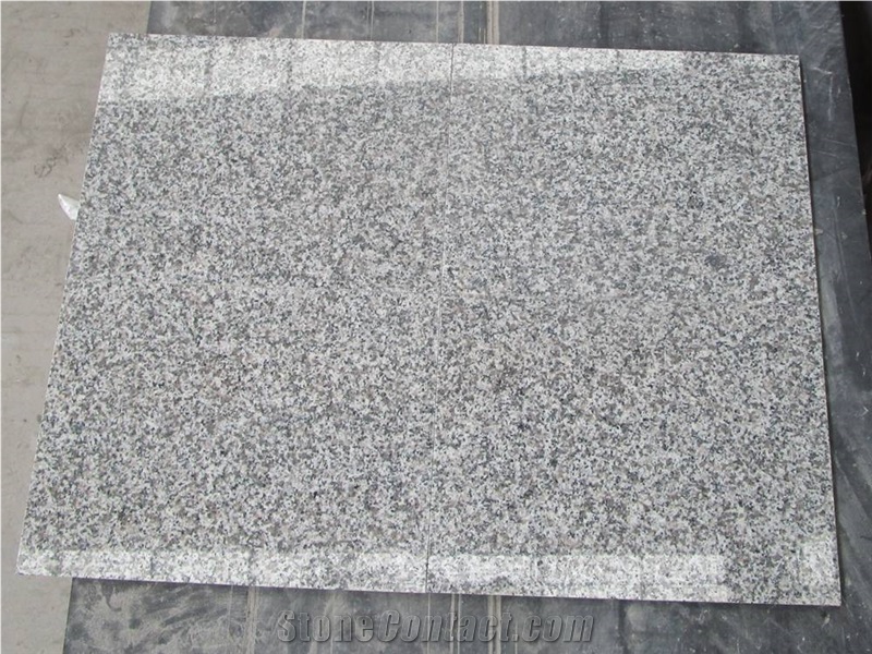 Padang New Rosa Sliver White G623 Slabs