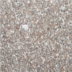 Rose Pink,Rossa Gamma,G635,Anxi Red