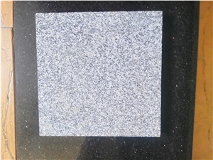 G601 Cheap Light Grey Granite Walling Tile G601 Cheap Light Grey Granite Walling Tile