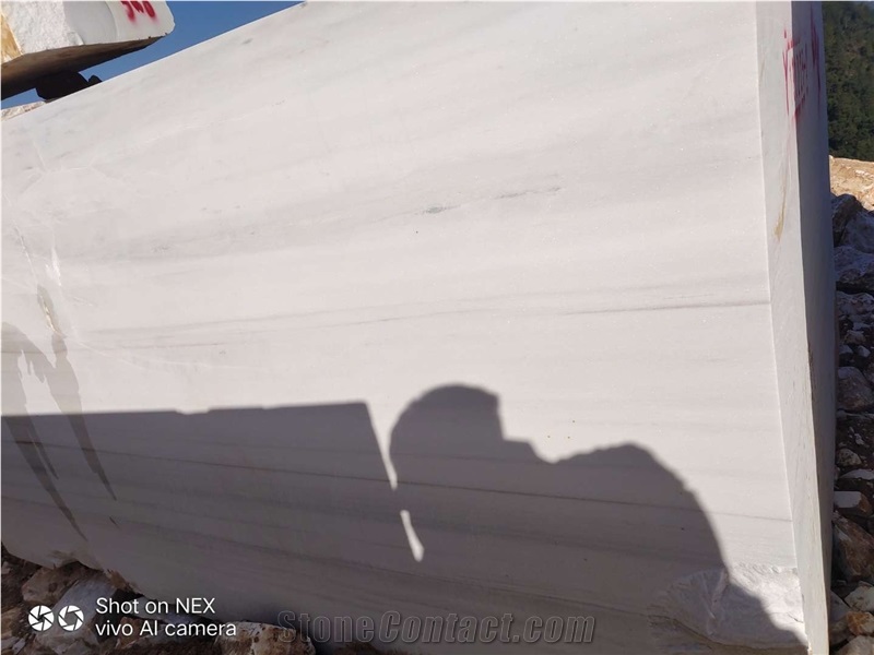 Bianco Dolomite Marble Slab