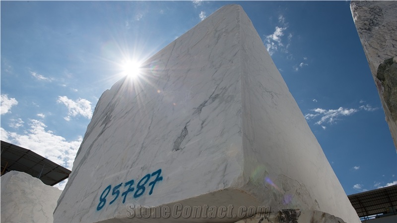Breccia Capraia Marble Blocks-Quarry Owner