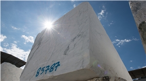 Breccia Capraia Marble Blocks-Quarry Owner