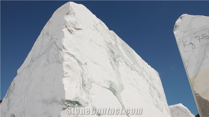 Breccia Capraia Marble Blocks-Quarry Owner