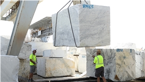 Breccia Capraia Marble Blocks-Quarry Owner