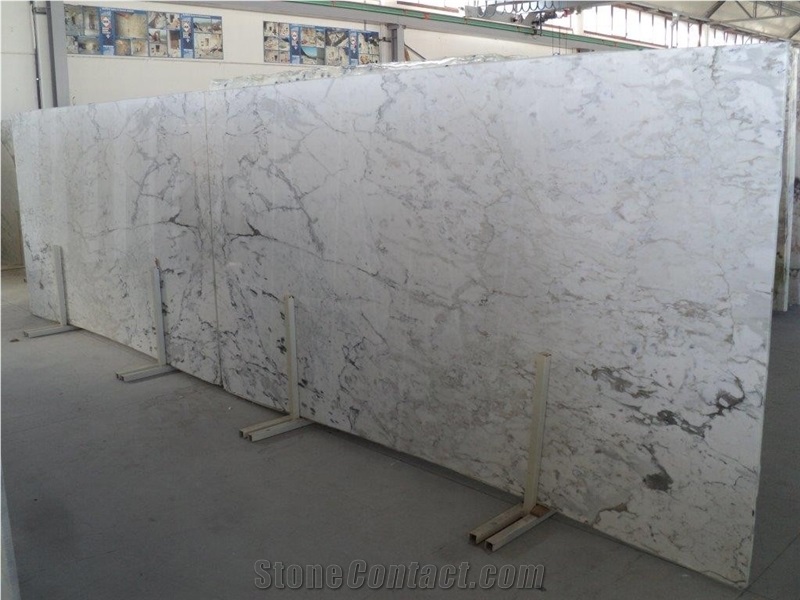 Breccia Capraia Marble Bookmatched Slabs