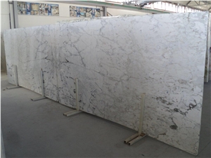 Breccia Capraia Marble Bookmatched Slabs