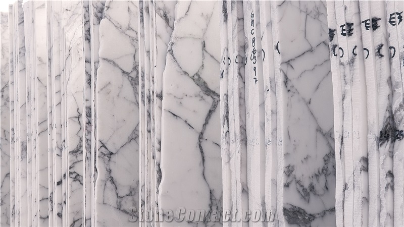 Breccia Capraia Marble Bookmatched Slabs