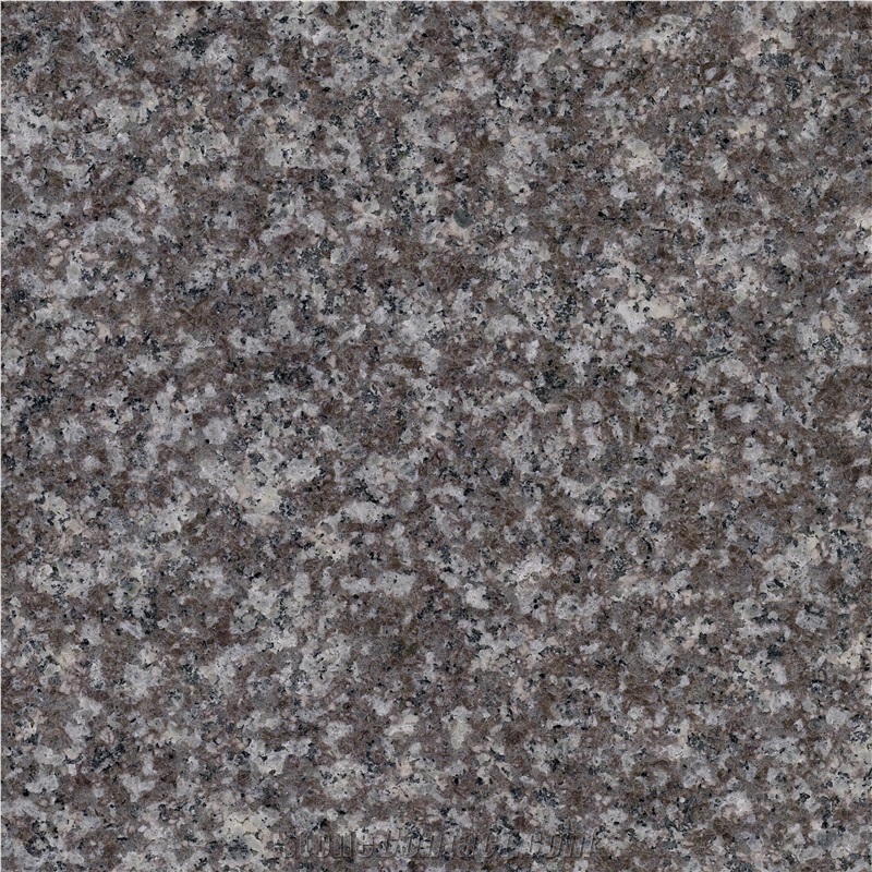 Original G664 Granite-Luoyuan Violet Granite Slabs