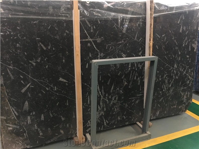Black Fossil Marble Sea World Marble