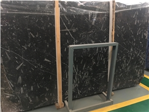 Black Fossil Marble Sea World Marble Black Fossil Marble Sea World Marble