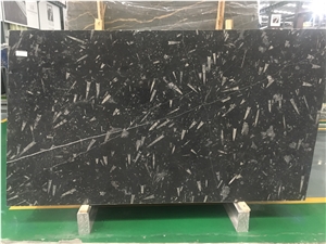 Black Fossil Marble Sea World Marble