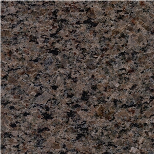 Canadian Violetta Granite Slabs, Cut to Size Tiles