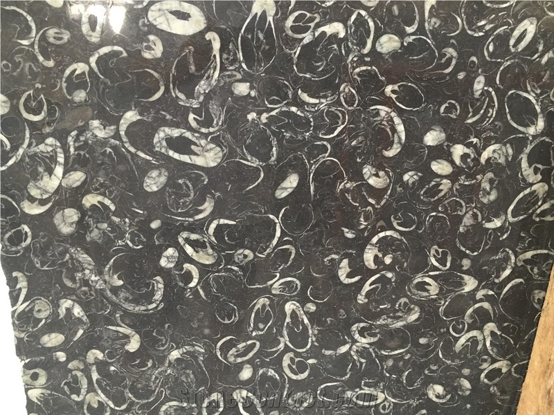 Deep Sea Marble,Sea Shell Flower Marble Slab Tile