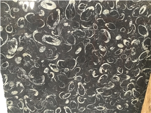 Deep Sea Marble,Sea Shell Flower Marble Slab Tile