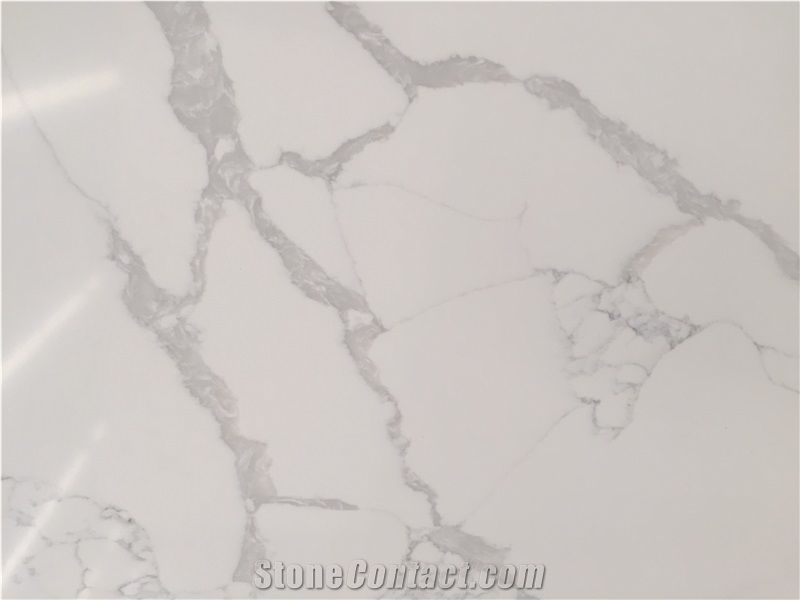 Calacatta Quartz Kitchen Countertop
