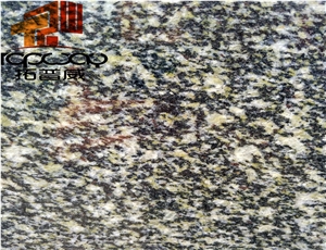 China Narcissus Green Granite Slabs&Tiles