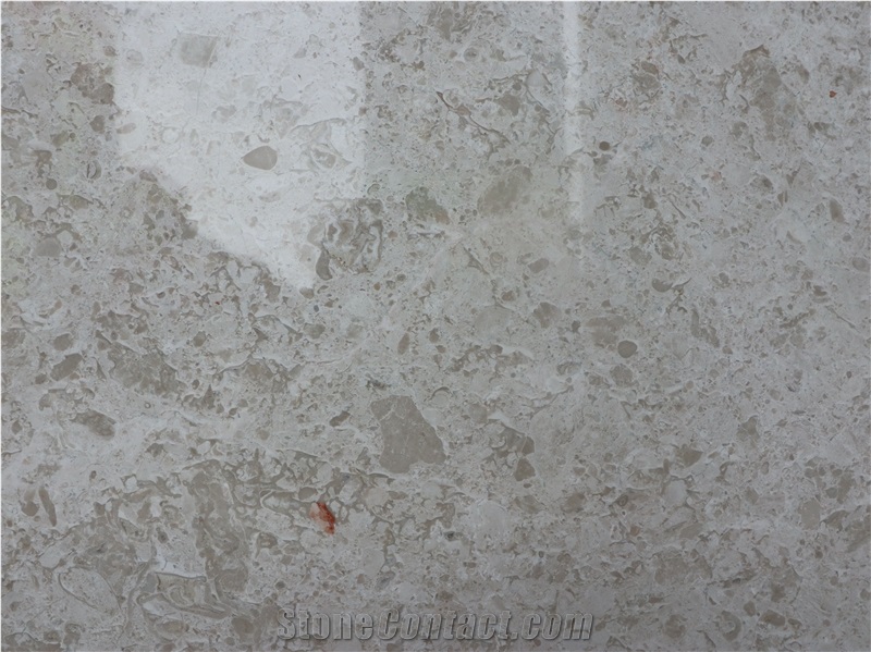 Sea Coral Beige Limestone Pool Coping and Decking