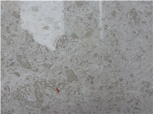Sea Coral Beige Limestone Pool Coping and Decking
