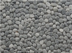 Gary Pebble-4606