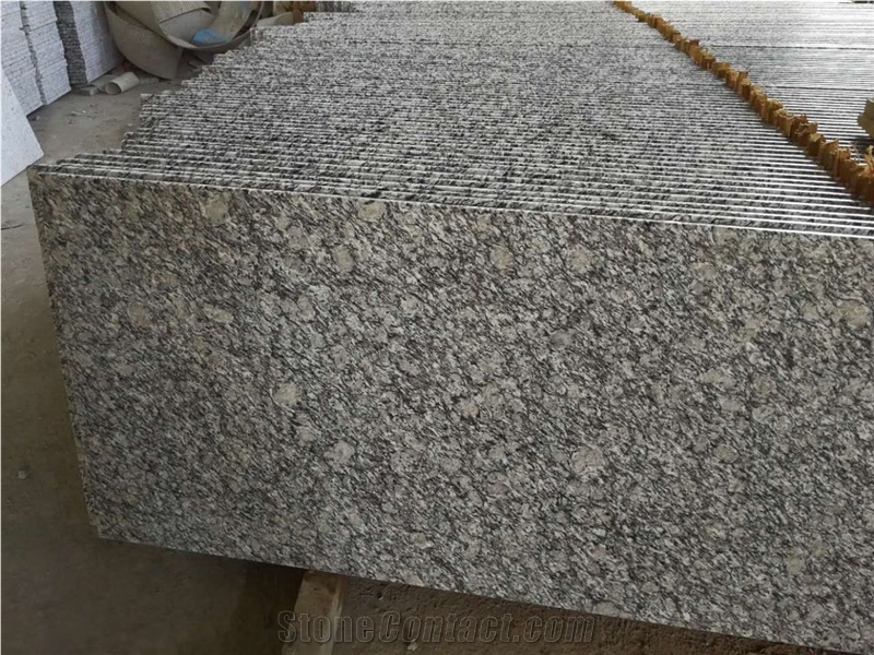 G603 Full Bullnose Edge Swimming Coping Stones
