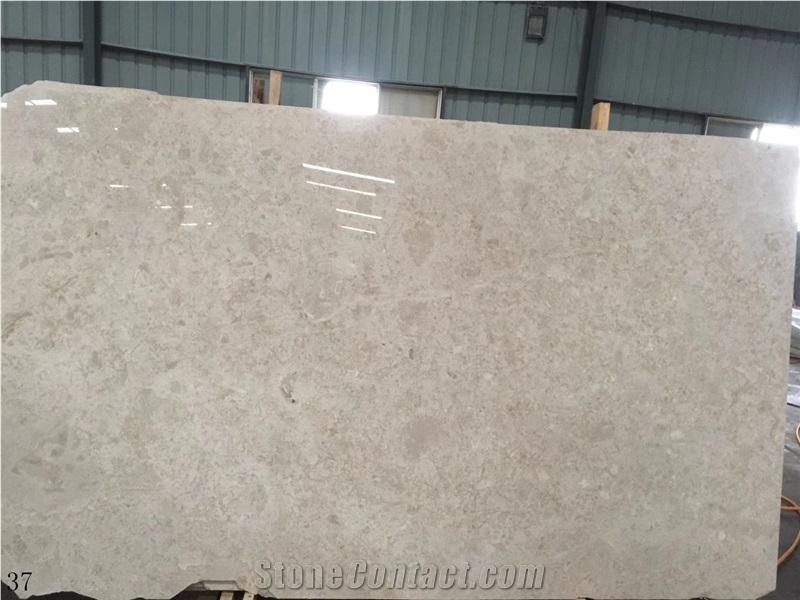 China Coral Sea Marble Slab Wall Floor Tiles Use