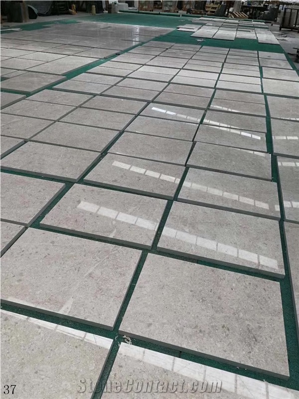 China Coral Sea Marble Slab Wall Floor Tiles Use