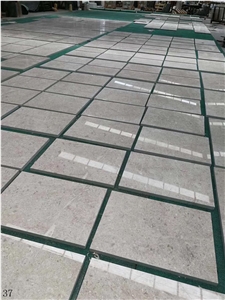 China Coral Sea Marble Slab Wall Floor Tiles Use