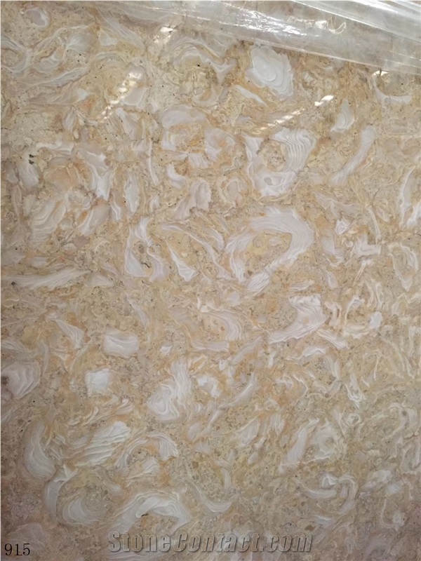 Shells Reef Gold Limestone Golden Shell Marble