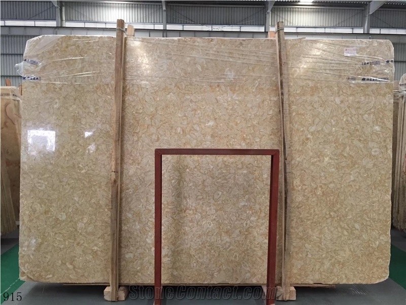Shells Reef Gold Limestone Golden Shell Marble
