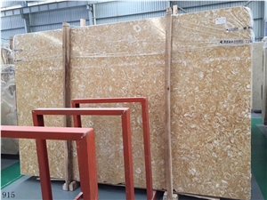 Shells Reef Gold Limestone Golden Shell Marble