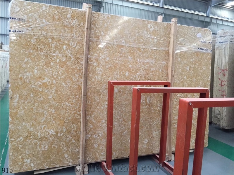 Shells Reef Gold Limestone Shells Reef Gold Slab
