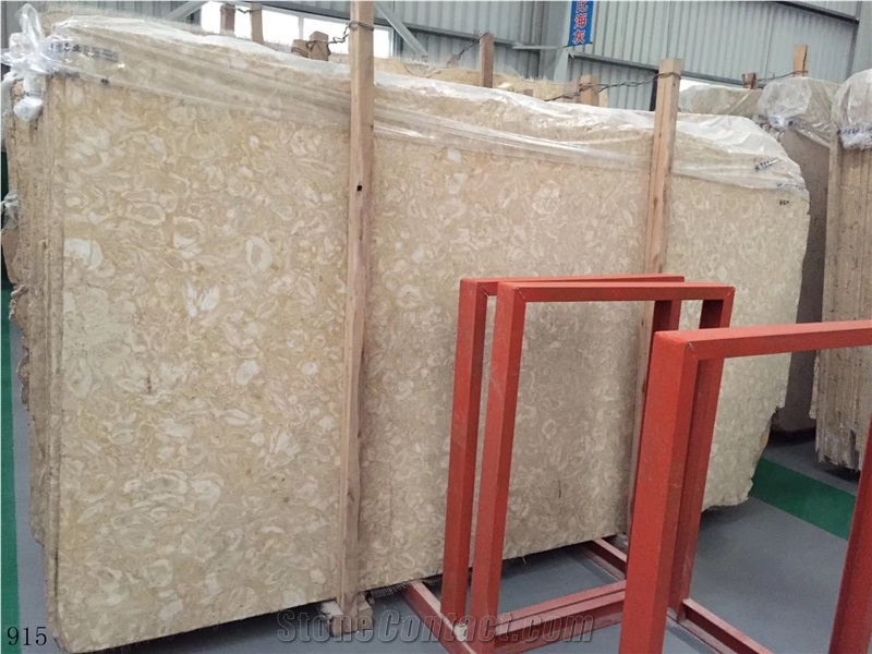 Shells Reef Gold Limestone Shells Reef Gold Slab