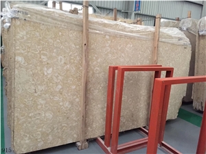 Shells Reef Gold Limestone Shells Reef Gold Slab
