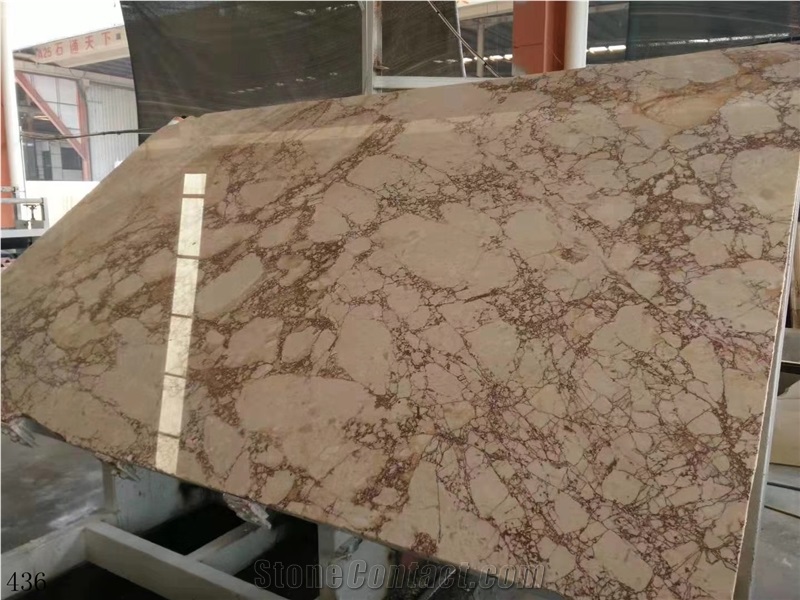 Turkey Rosalia Light Marble Slab Wall Floor Tiles