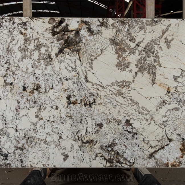 Brazil Blan Du Blanc Granite Slab