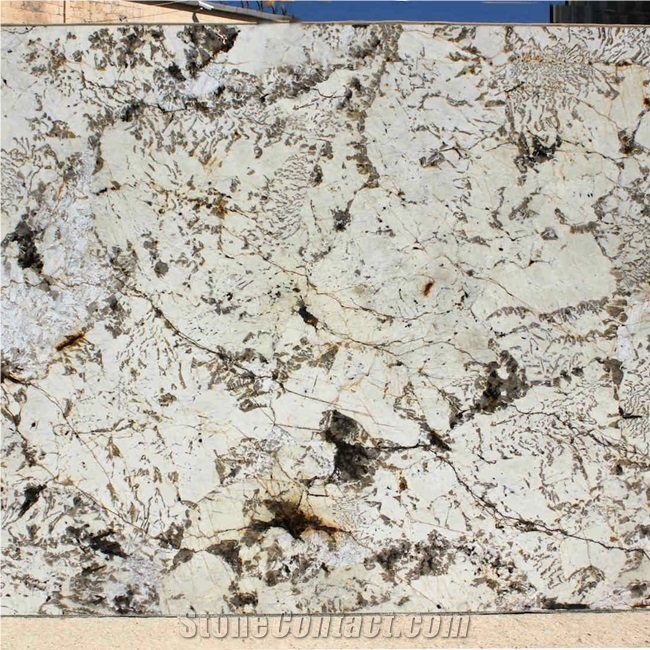 Brazil Blan Du Blanc Granite Slab