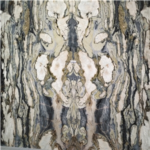 Leonardo Da Vinci Marble Slabs