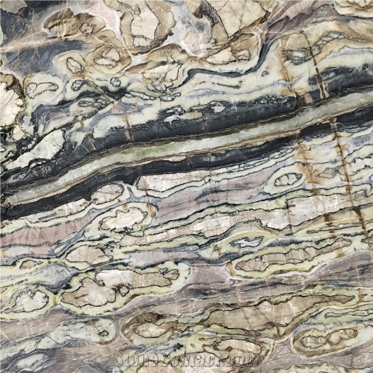 Leonardo Da Vinci Marble Slabs