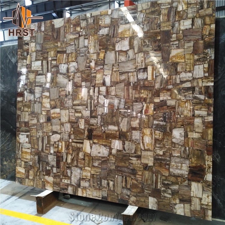 Petrified Wood Semiprecious Stone