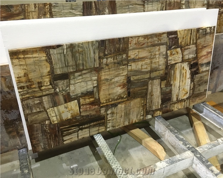 Petrified Wood Semiprecious Stone