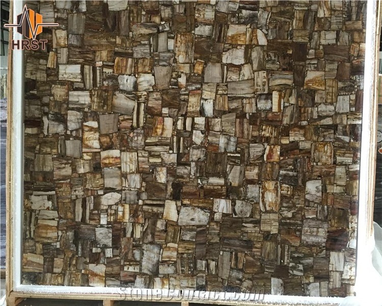 Petrified Wood Semiprecious Stone