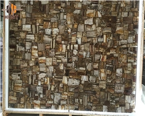 Petrified Wood Semiprecious Stone