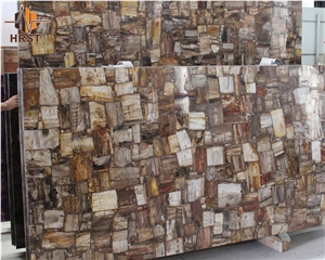 Petrified Wood Semiprecious Stone