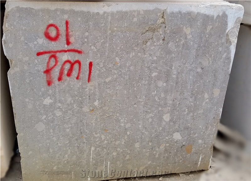 Fossil Gray Marble Blocks