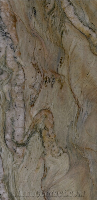 Silk Road Quartzite Slabs,Tiles
