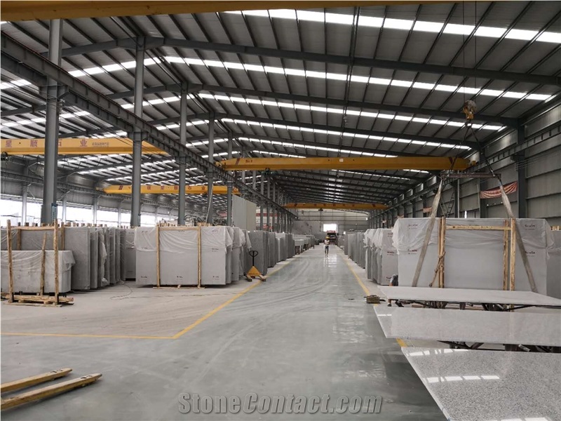 Own Quarry New Bianco Sardo Grey Granite Slabs