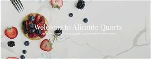 Calacatta Gold Quartz Stone for Countertops
