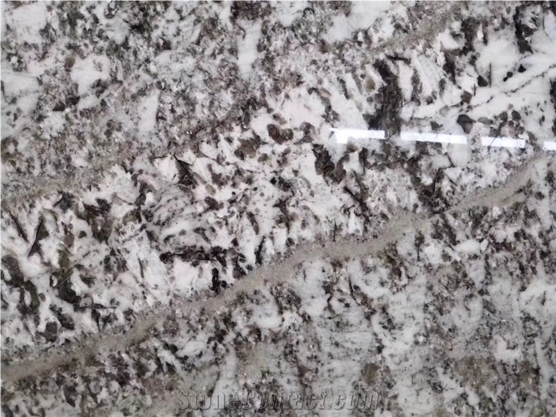 Alaska White Granite for Floor Tile