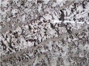 Alaska White Granite for Floor Tile